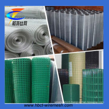 PVC Coated Welded Wire Mesh /Hot-Dipped Galvanizd Welded Wire Mesh